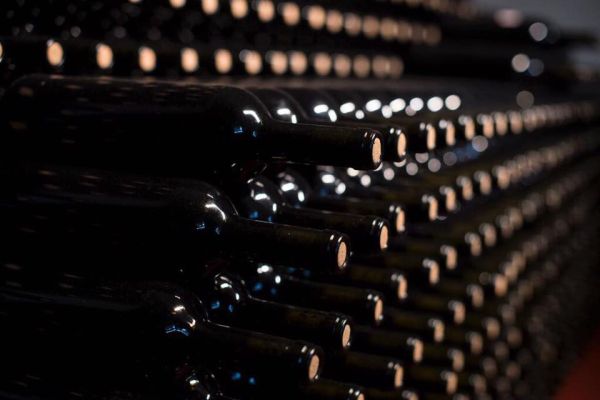Producţia de struguri din acest an, afectată de vreme şi efectele pandemiei COVID-19