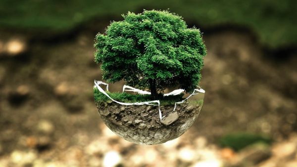 Natura se bucură, maşinile electrice câştigă teren în faţa celor "clasice"