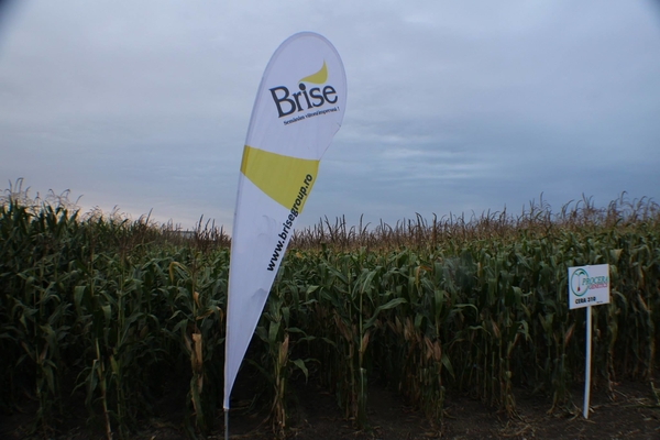 RAGT SEMINTE a cerut insolvenţa firmei AGRO TRADE GRAINS