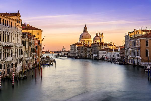 Bradul de Crăciun din Piaţa San Marco va fi digital