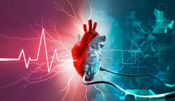 Organismele europene de reglementare au aprobat folosirea inimilor complet artificiale