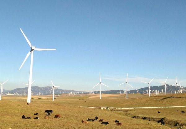 Peste jumătate din producţia de electricitate a României provine din surse regenerabile