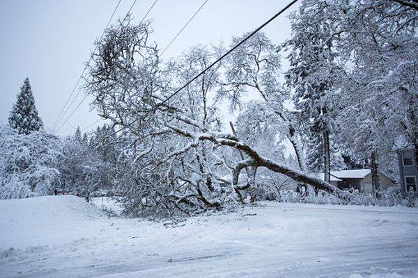 Trafic perturbat pe DN 67 din cauza unor stâlpi şi a unui copac căzuţi pe carosabil