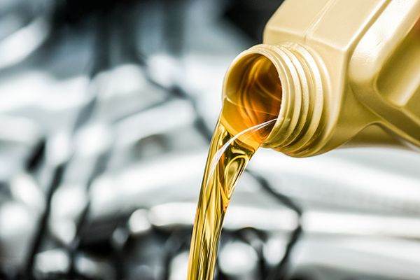 Petrom propune acţionarilor un dividend cu o valoare de 0,031 lei/acţiune