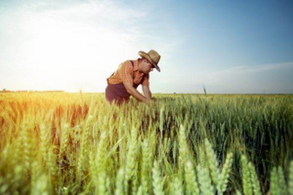 Asociaţia Forţa Fermierilor pregăteşte acţiuni de pichetare a Ministerului Agriculturii