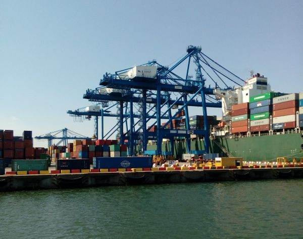Exportatorii au fost scoşi din schemă