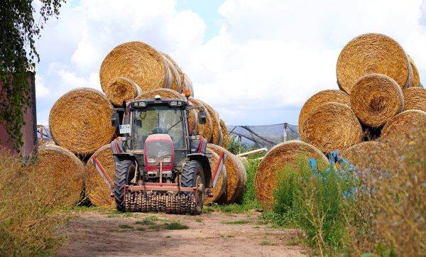 Programul Agro IMM Invest, lansat prea târziu
