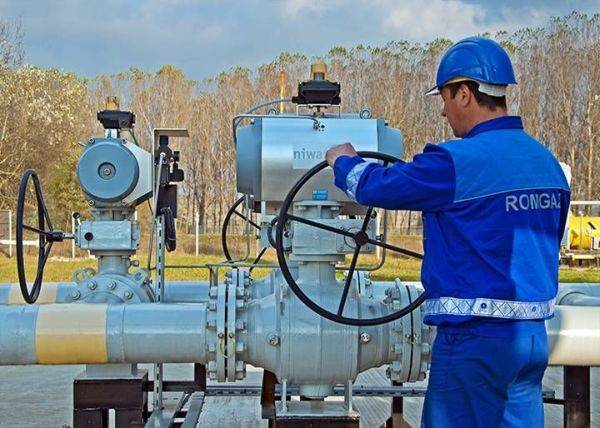 Acţionarii Romgaz au ales un nou Consiliu provizoriu