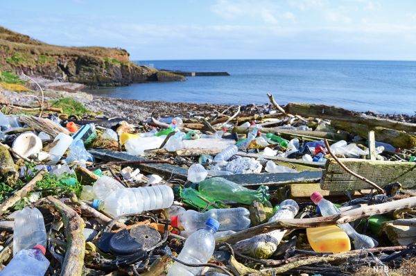Avertisment - lumea se confruntă cu o "pandemie" de poluare cu plastic