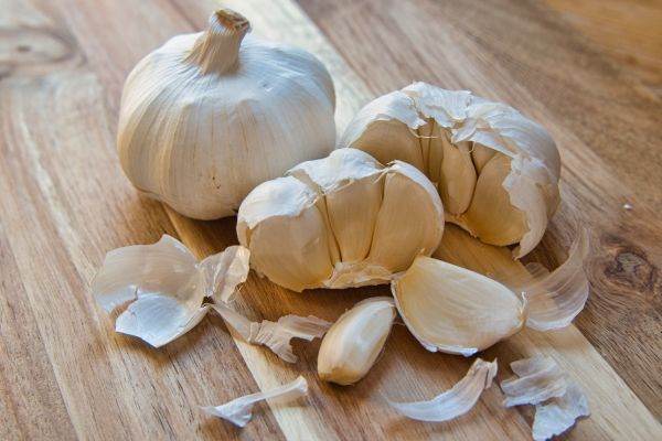 Ministerul Agriculturii va aloca 15 milioane de lei pentru susţinerea producţiei de usturoi
