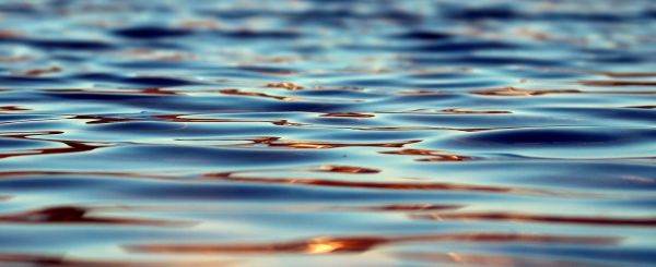 Administraţia Naţională "Apele Române" va organiza peste 130 de acţiuni de ecologizare a apelor
