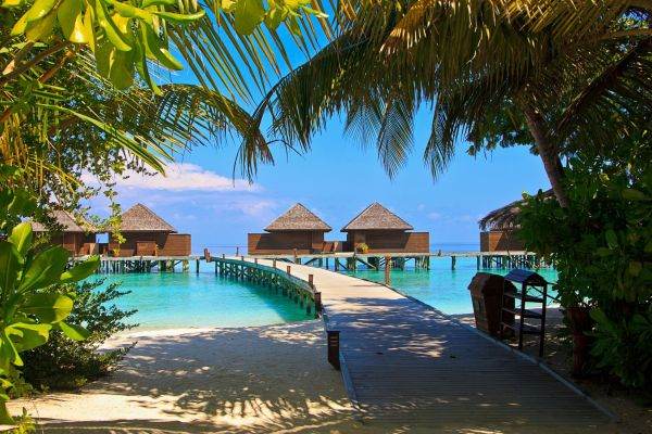 "Turiştii aleg să călătorească în destinaţii exotice, precum Maldive, Republica Dominicană, Kenya, Capul Verde sau Egipt, care nu sunt supra aglomerate şi în care se simt în siguranţă"