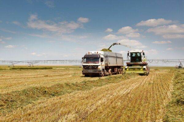 Agricover Holding listează pe Bursa de Valori Bucureşti o emisiune de obligaţiuni în valoare de 40 milioane de euro