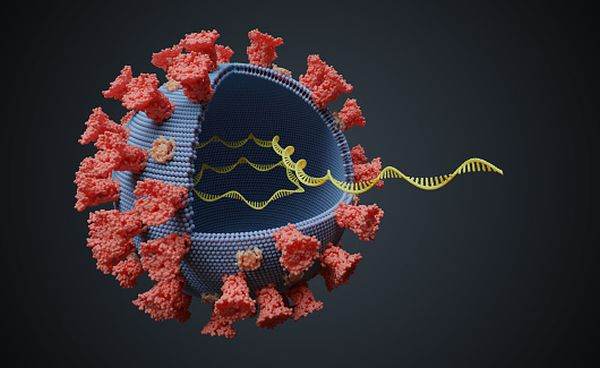 O nouă variantă de coronavirus circulă în Franţa