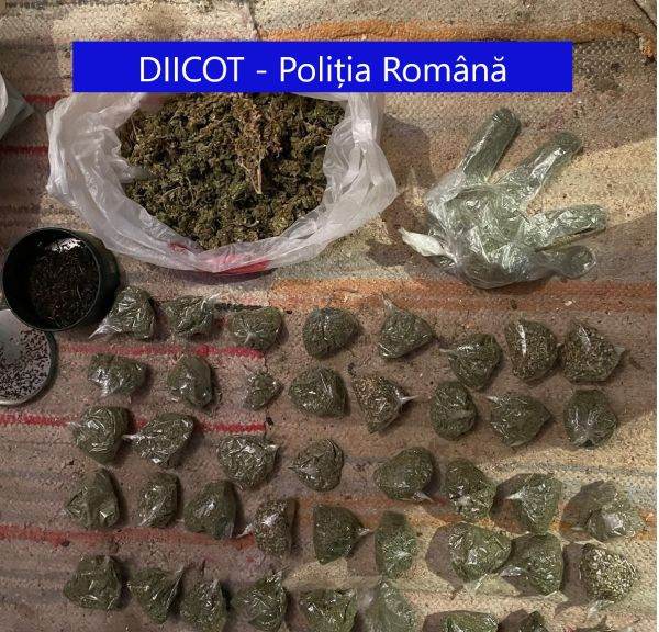 Două grupări de traficanţi de dorguri de risc, destructurate la Buzău