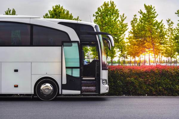 Servicii de transport şi servicii de închirieri autocare şi microbuze de foarte bună calitate