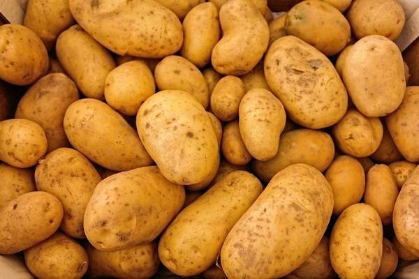 Fermierii români aruncă pe câmp tone de legume, nemulţumiţi de preţurile prea mici din piaţă