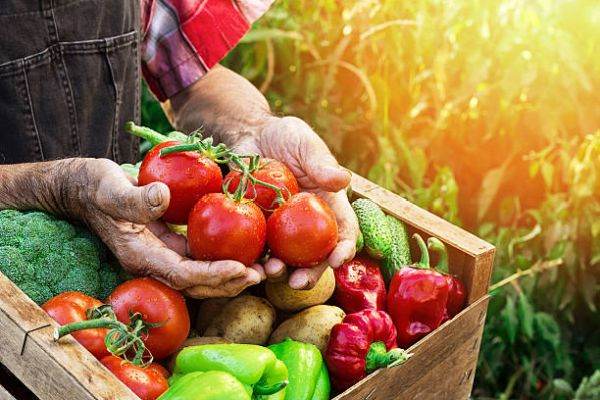65 de întreprinderi şi asociaţii au semnat codul de conduită al UE în sectorul alimentar