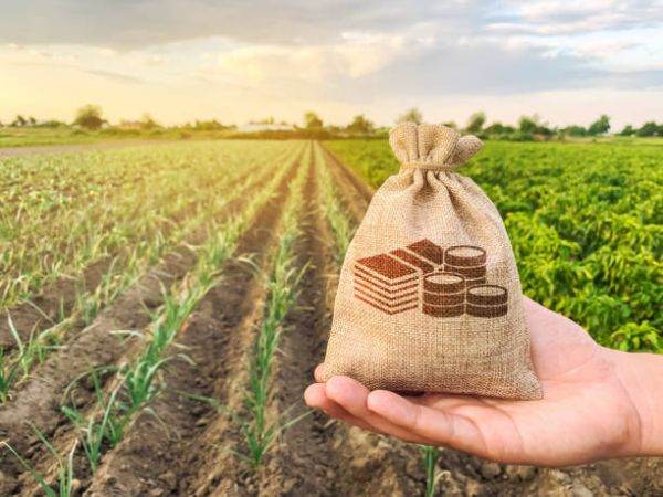 Apia va efectua plata în avans pentru fermierii care au depus Cereri unice de plată în anul 2021