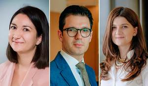 Dublarea competenţelor de control în industria farmaceutică, în producţia de petrol şi de resurse minerale - implicaţii practice