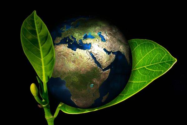 Produsele eco şi cele prietenoase cu mediul atrag tot mai mulţi consumatori