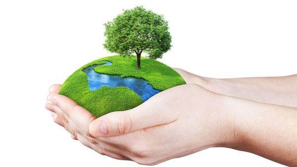 Ecologismul a migrat spre rafturile magazinelor