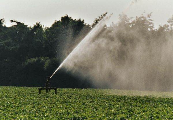 Alocare ridicolă în PNRR pentru agricultura românească