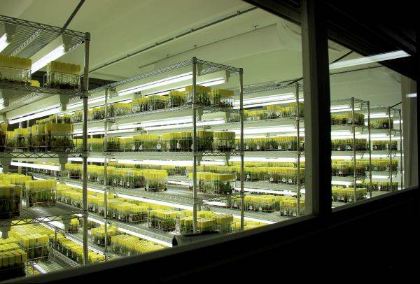 Piaţa globală a construcţiilor de depozite frigorifice, estimată la circa 23 miliarde dolari, în 2026