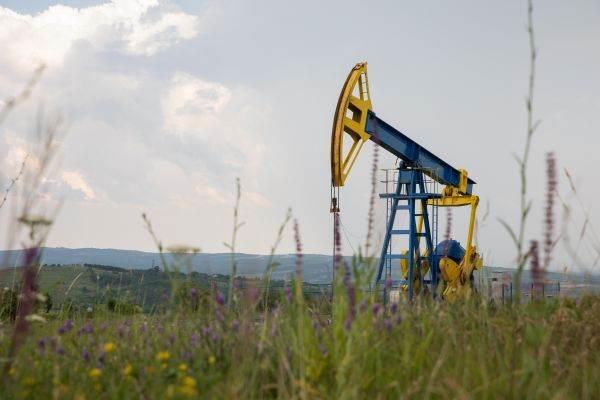 Evoluţia grupului OMV Petrom