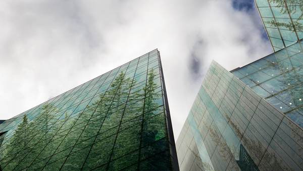 Companiile care au un ADN de sustenabilitate puternic generează cu 21% mai mult profit şi au un impact pozitiv de durată asupra societăţii şi a mediului