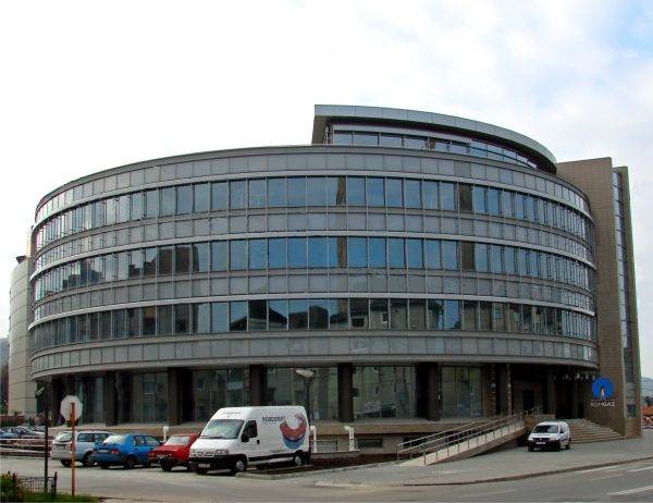 Acţionarii Romgaz au aprobat numirea Ernst & Young ca auditor al companiei