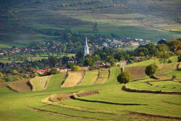 Fondurile disponibile pentru înfiinţarea de activităţi neagricole în zone rurale s-au epuizat în 5 zile de la lansarea sesiunii