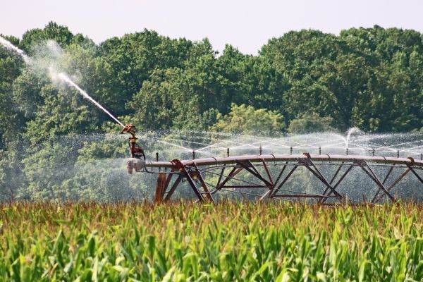 Alocări mai mici pentru irigaţii şi instalarea tinerilor fermieri