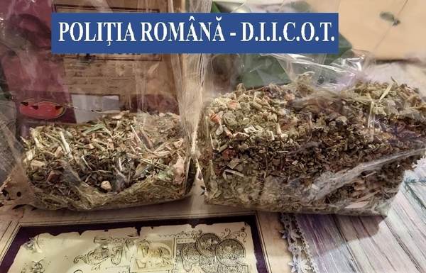 Captură de canabis şi substanţe psihoactive la Buzău