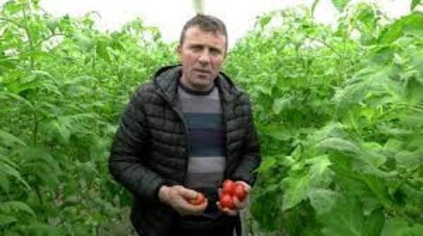 Mircea Tatu