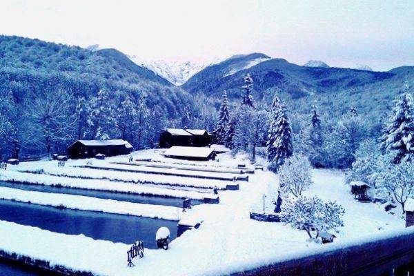 DAL Travel promovează "România Premium" de Crăciun şi de Revelion
