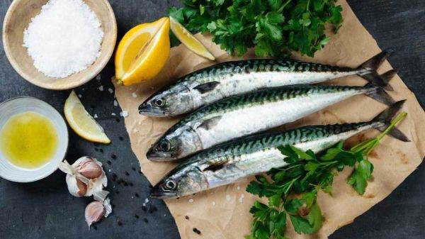 Alfredo Seafood a înregistrat vânzări de peşte în valoare de peste 56 milioane lei