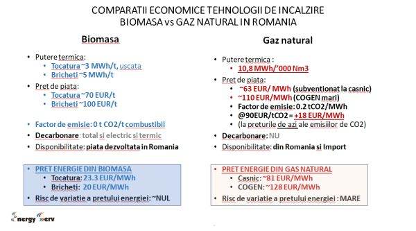 Biomasa - o resursă ignorată în România şi în PNRR