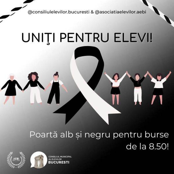 Elevii din Capitală au intrat în grevă japoneză