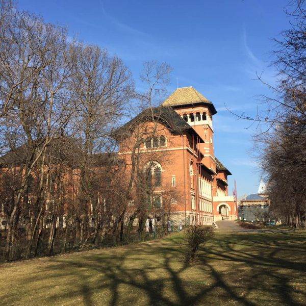 Muzeul Ţăranului găzduieşte zilele filmului "Memoria Holocaustului"
