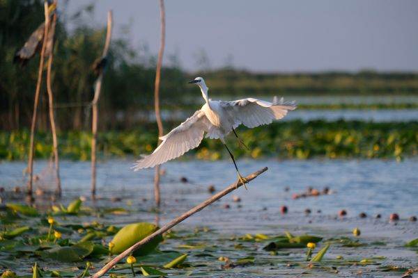 Comisia Europeană a publicat orientările privind noile zone naturale protejate
