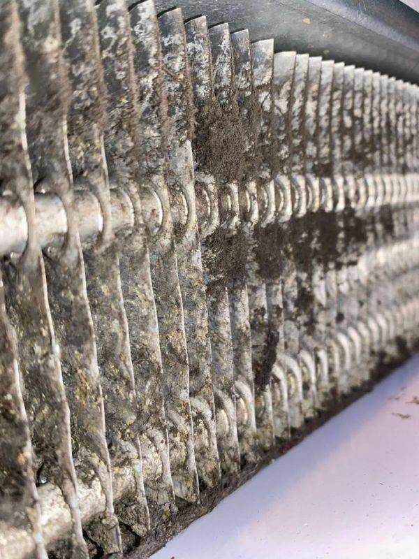 ANPC a aplicat amenzi în valoare de 3,9 milioane lei