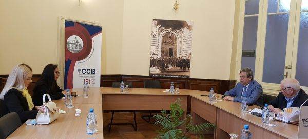 Interes pentru promovarea cooperării economice româno-braziliene