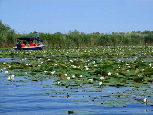 Turismul din Delta Dunării, neafectat de conflictul din Ucraina