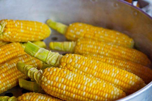 Cerealele furate de trupele ruse se află deja în Marea Mediterană