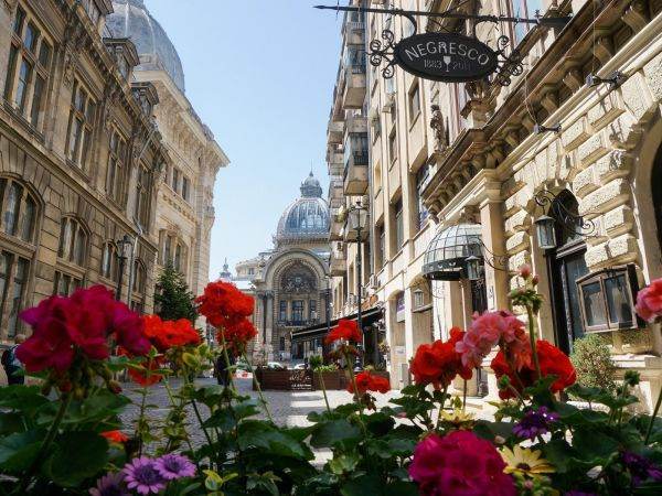 Promenada urbană "Străzi deschise - Bucureşti" revine pe Şoseaua Kiseleff şi în Drumul Taberei