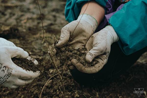 Metropolitan Life lansează raportul anual de sustenabilitate