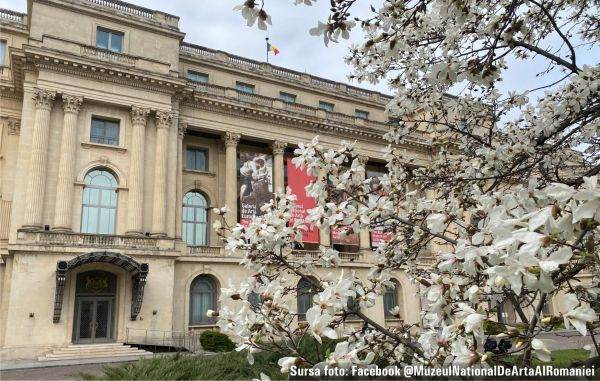 Muzeul Naţional de Istorie anunţă crearea primului Muzeu Virtual al Holocaustului Romilor din România
