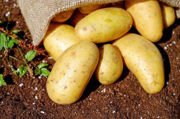 "La legume am un preţ al respectului, cât îmi cere, atât îi dau"