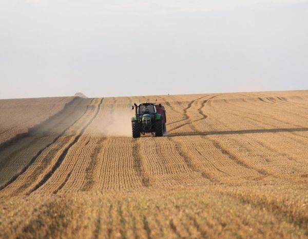 Libanul anulează importul de cereale din Ucraina